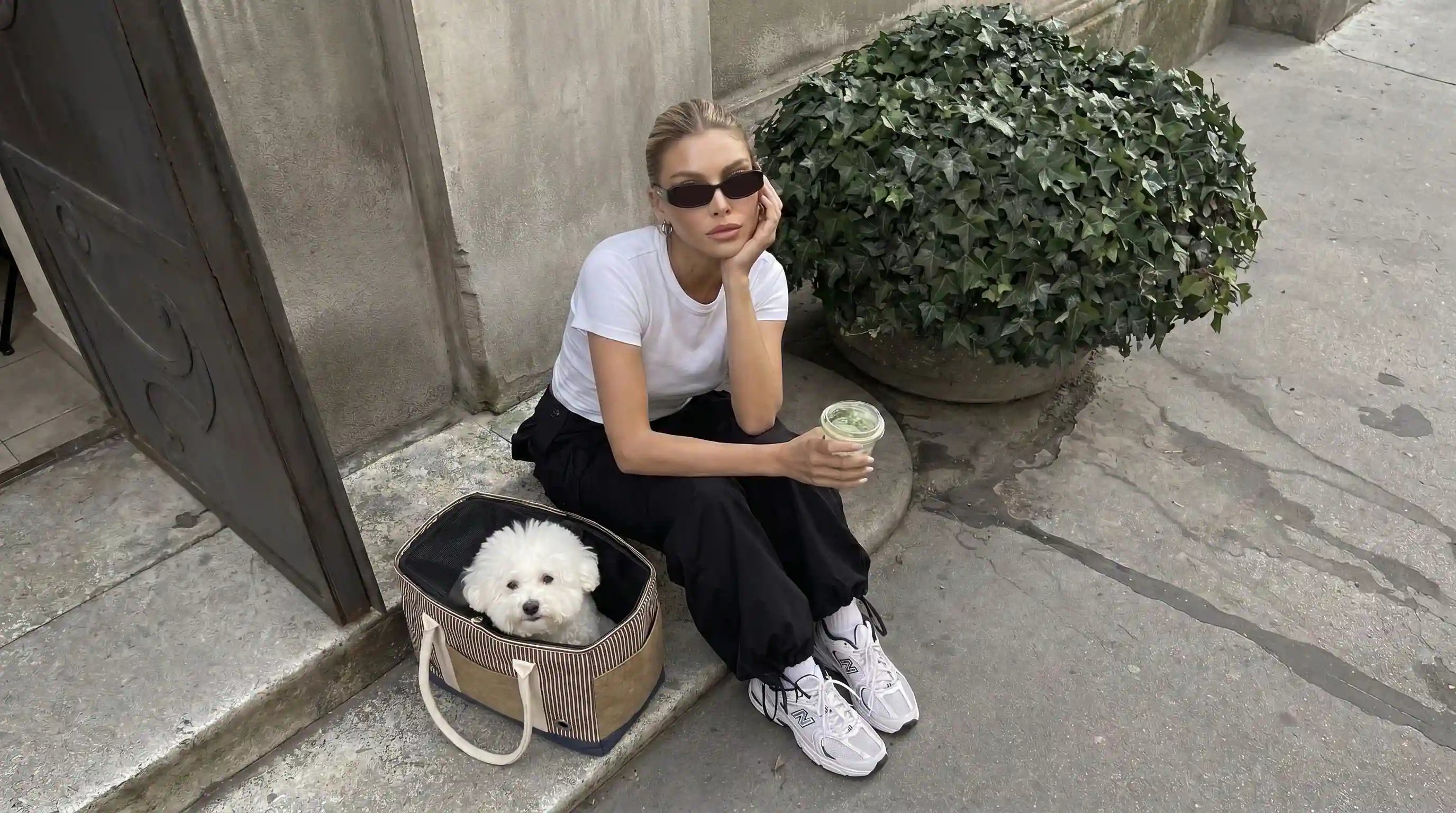 small dog resting in a carrier beside its owner on a city stoop