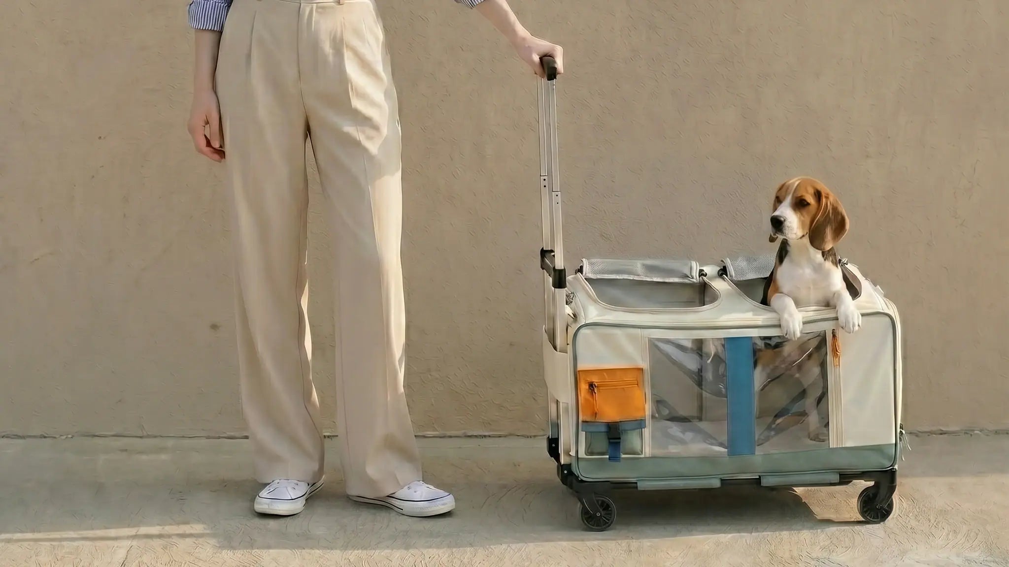 small dog in a rolling carrier with wheels on a smooth outing route