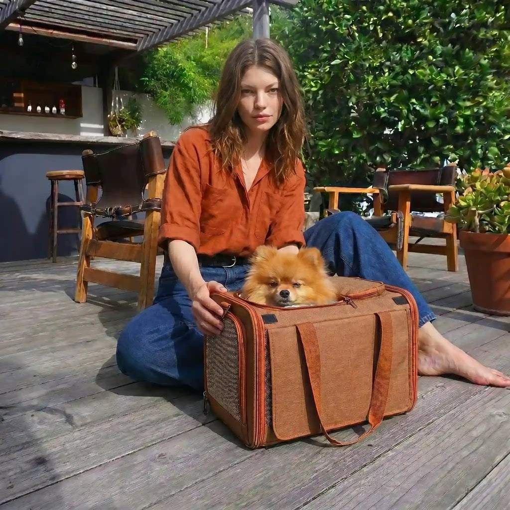 model sit on ground with dog carrier containing a puppy placed in front of her