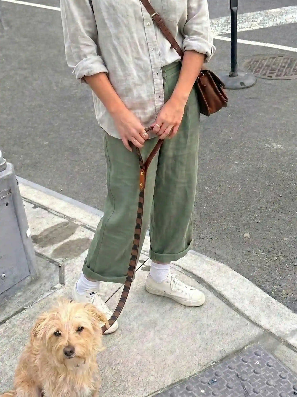 The puppy, crouching on the ground, was being pulled along by its owner with a leash.