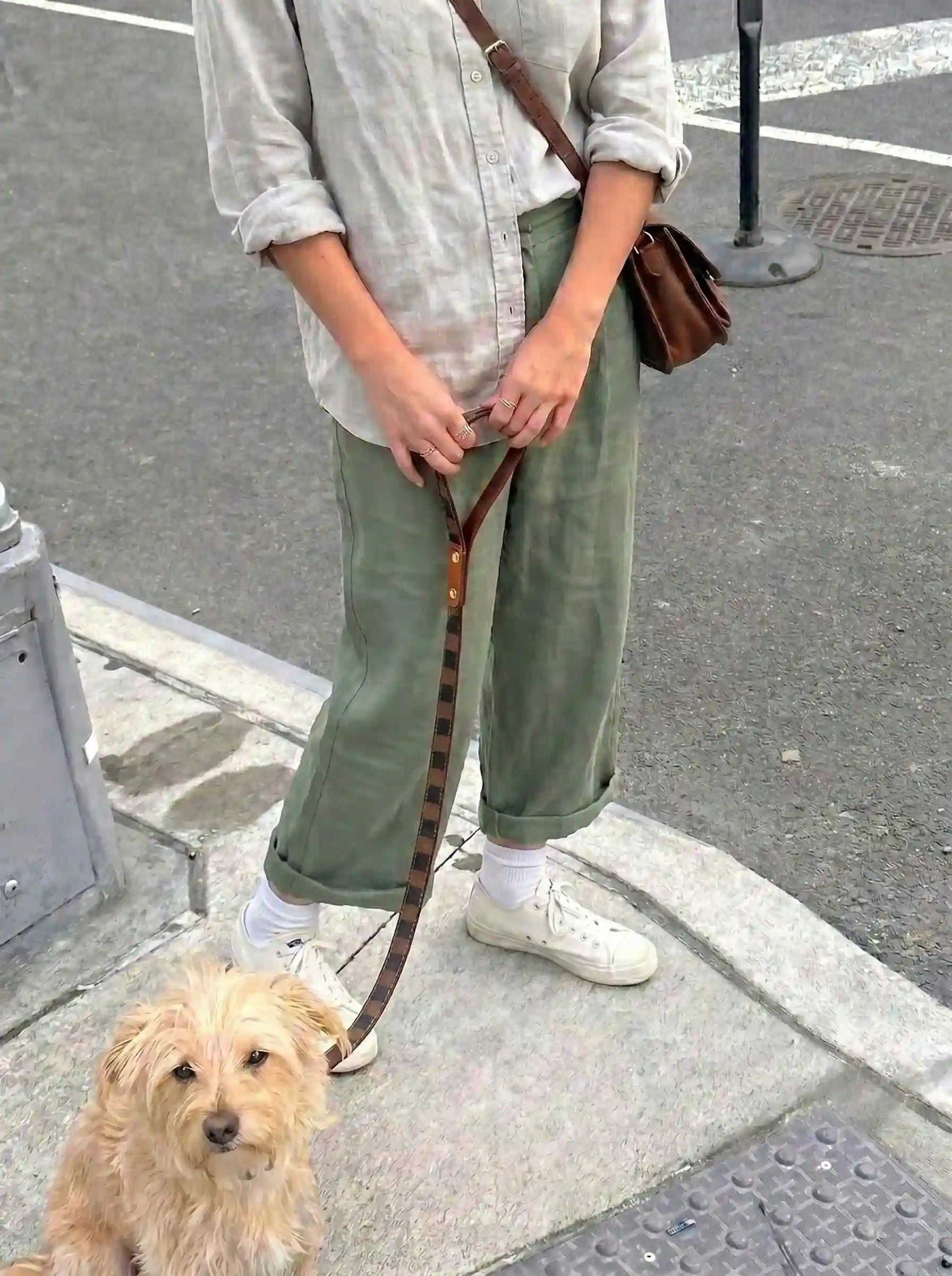 The puppy, crouching on the ground, was being pulled along by its owner with a leash.