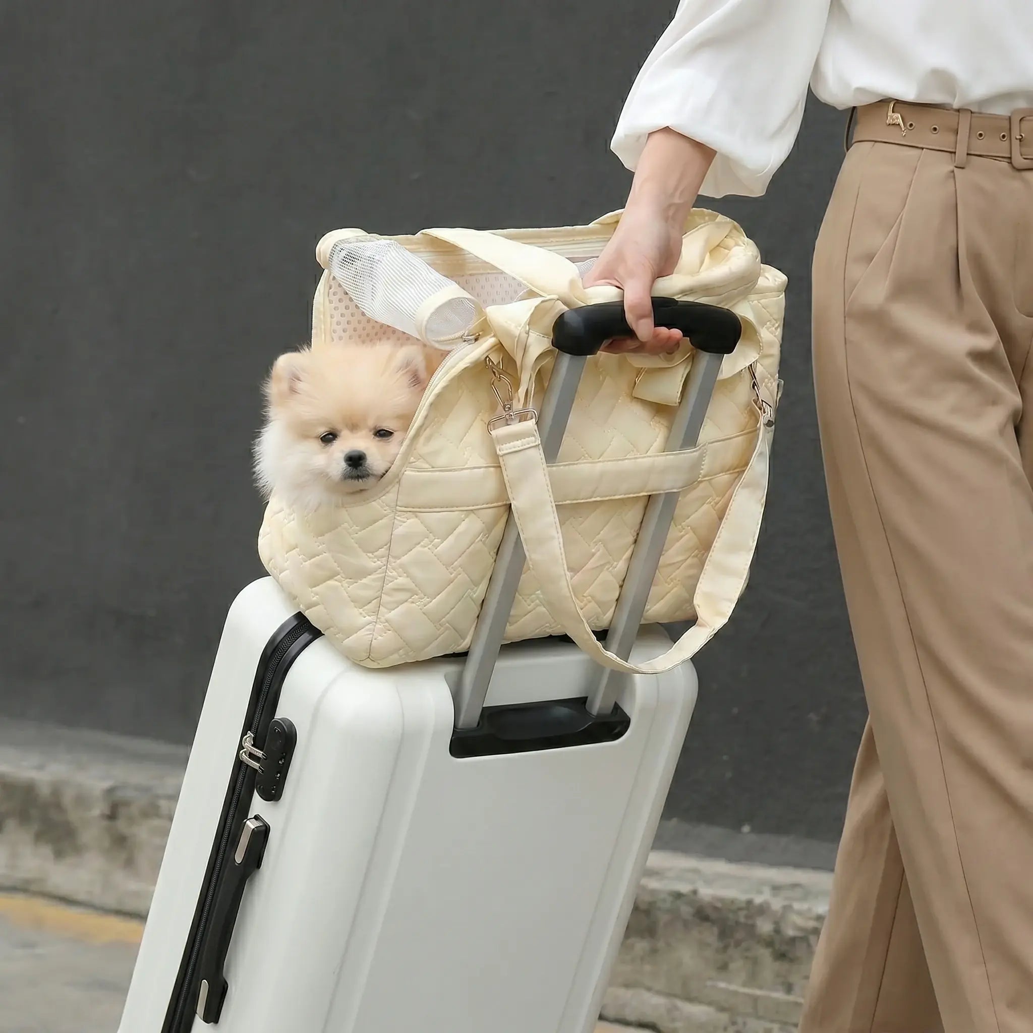 a tote bag carrying a Pomeranian securely fastened on top of the suitcase