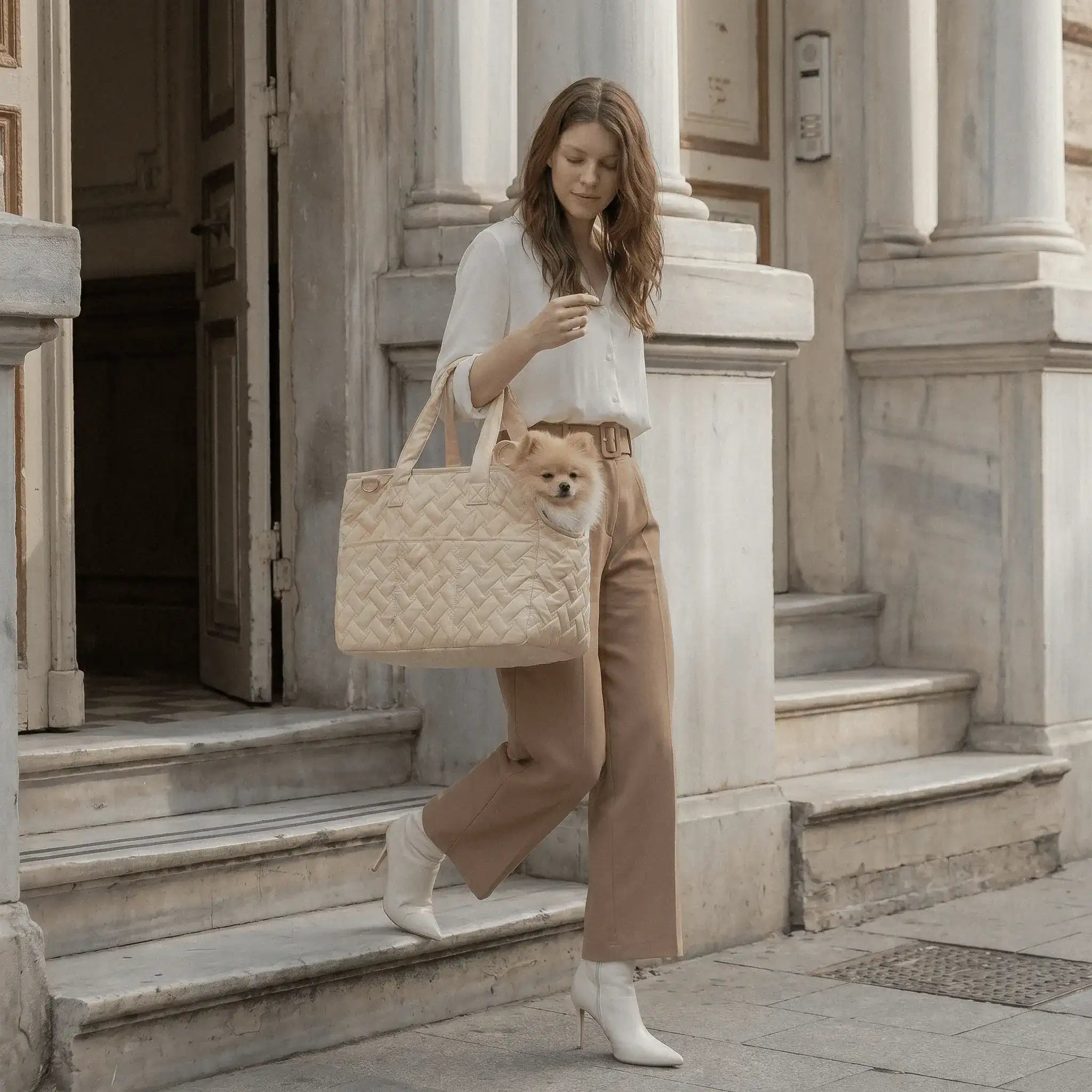 A model is taking a Pomeranian out using a beige tote bag
