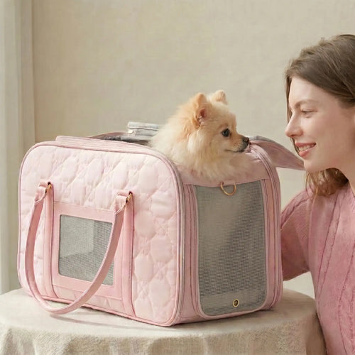 The puppy is placed in a soft-sided carrier, and the model is looking at the puppy