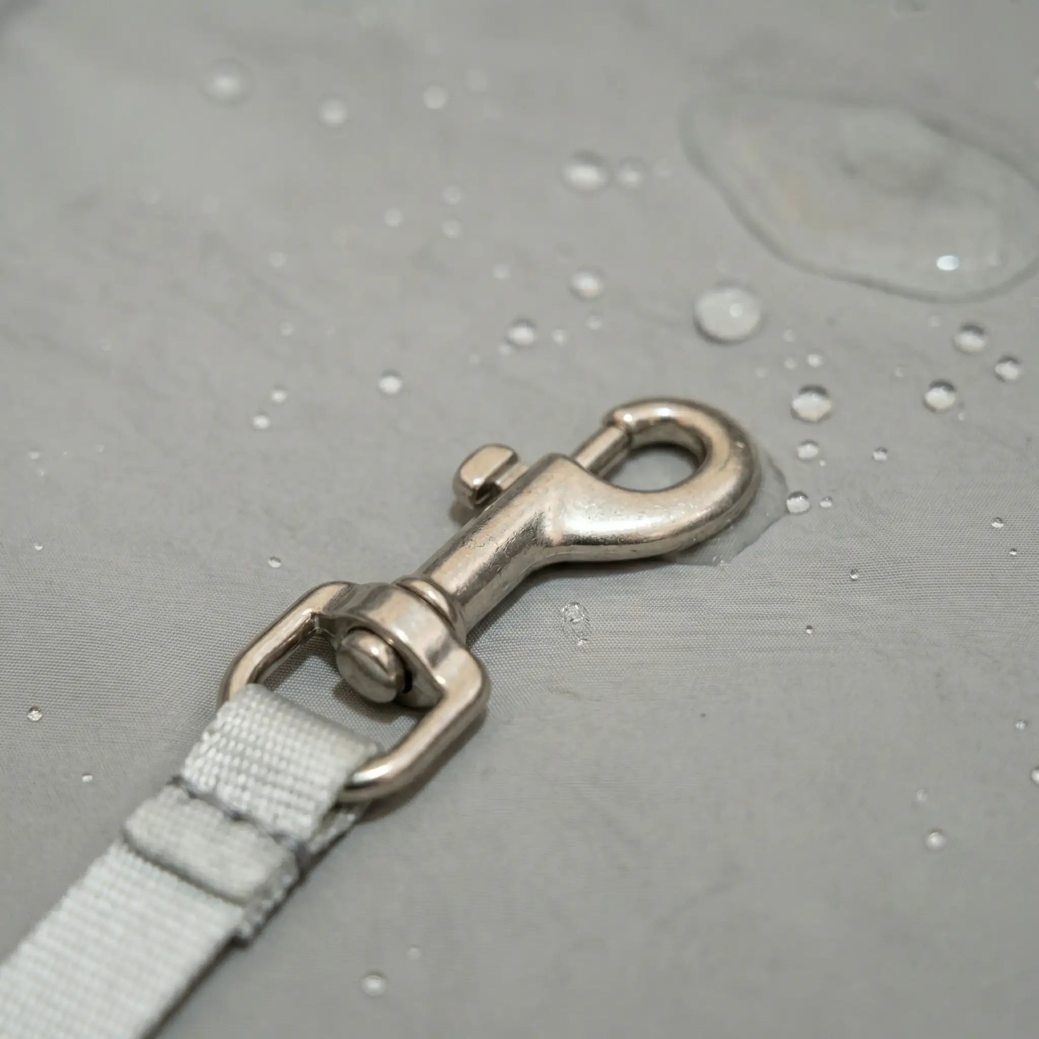 a safety leash in dog carrier with waterproof material