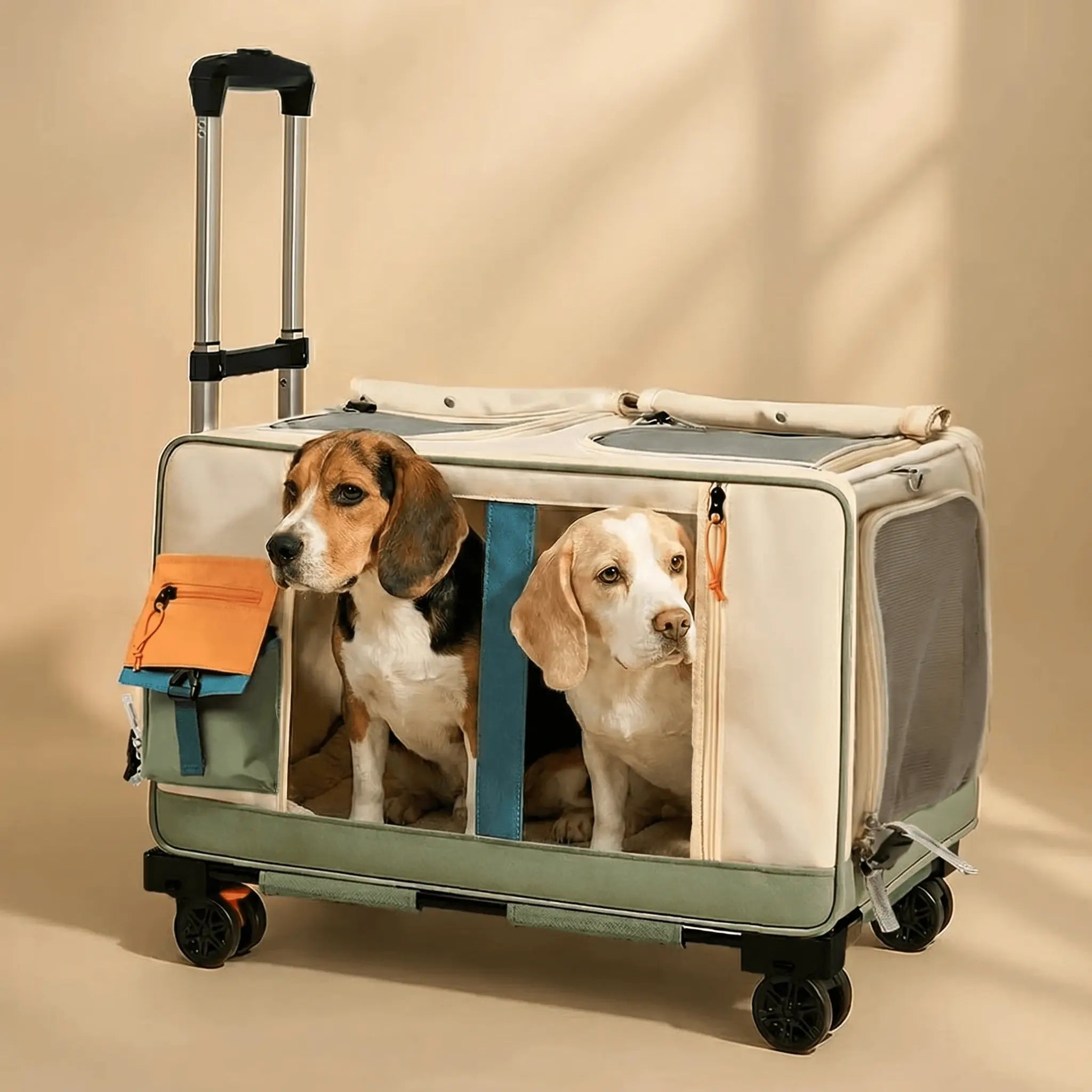 Beige and green pet stroller, containing two beagles