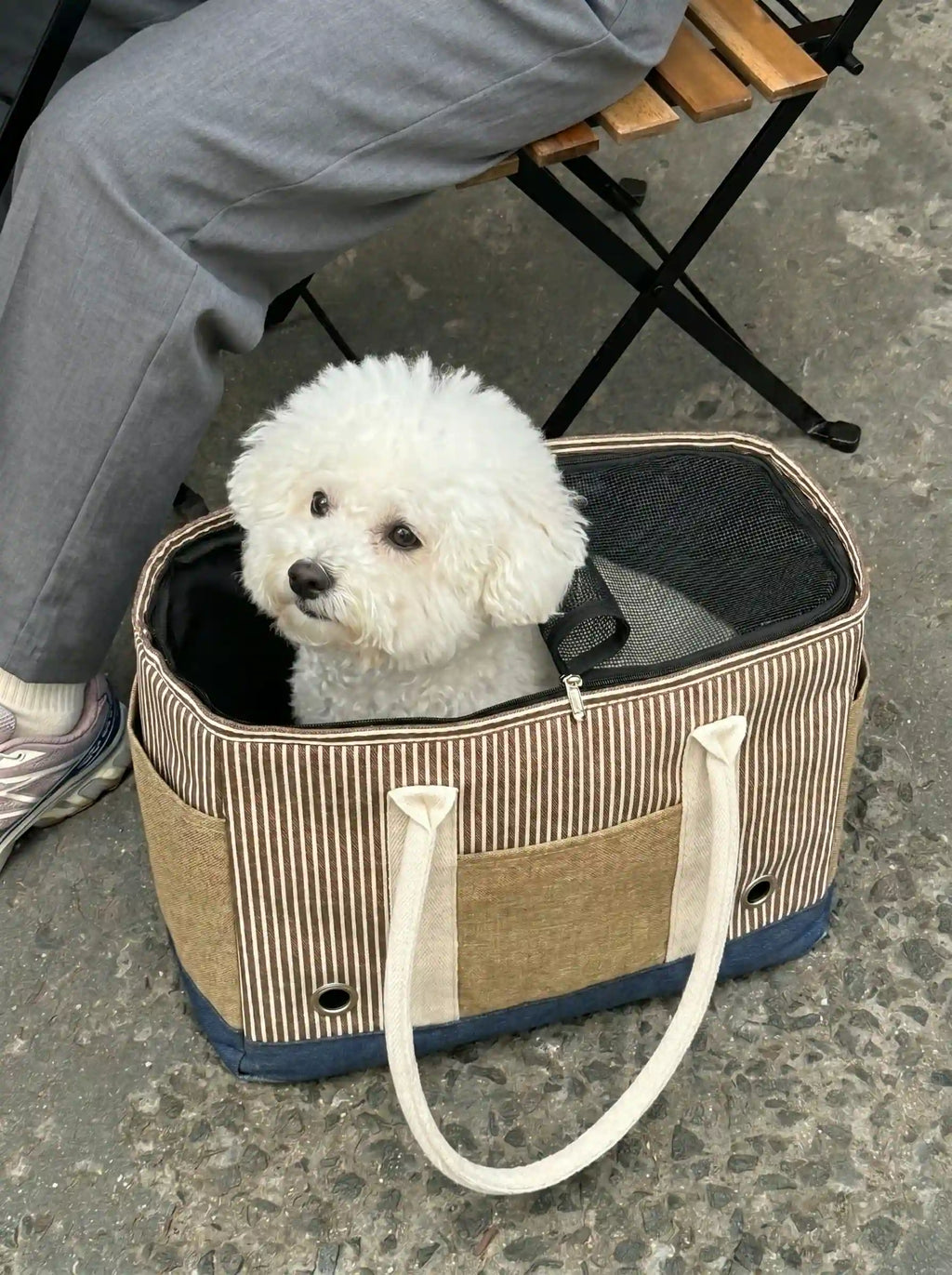 A striped tote bag containing a beagle is lying on the ground.