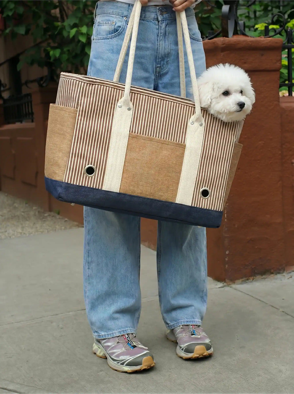 The model is carrying a striped pet tote bag, and inside the bag there is a beagle.