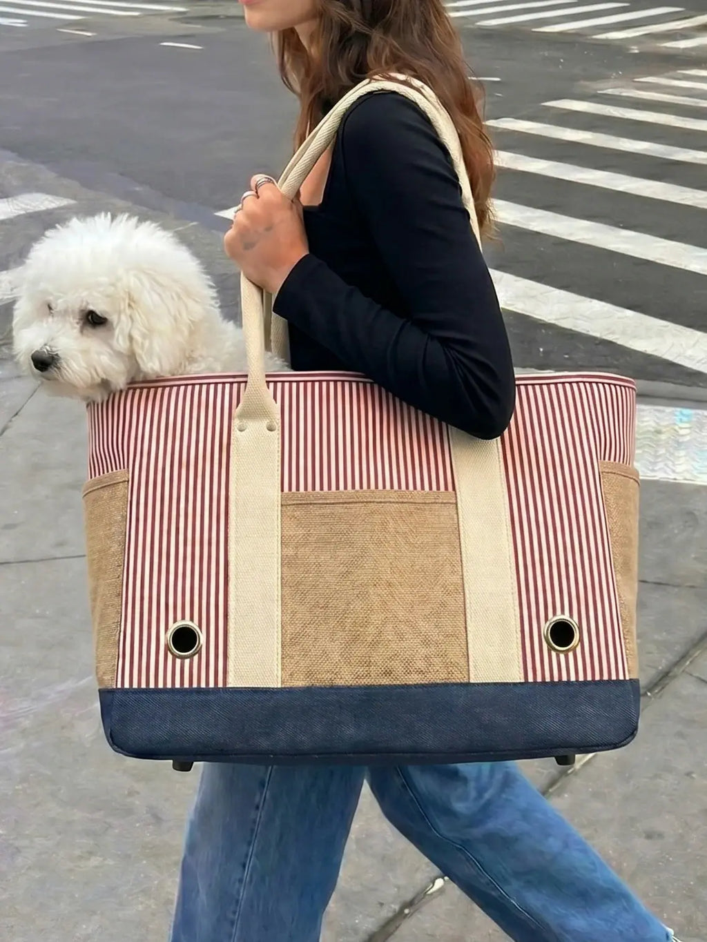 The woman carried the Bichon Frise dog in a striped tote bag
